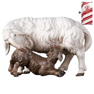 UL Schaf mit Lamm säugend + Geschenkbox
