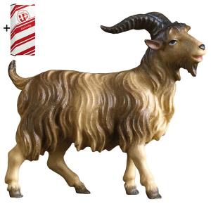 UL He-Goat + Gift box