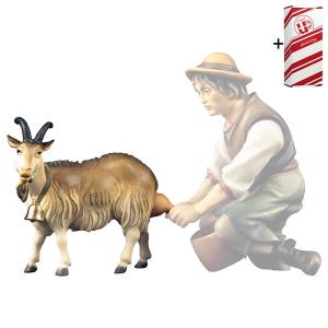 UL Goat to milk + Gift box
