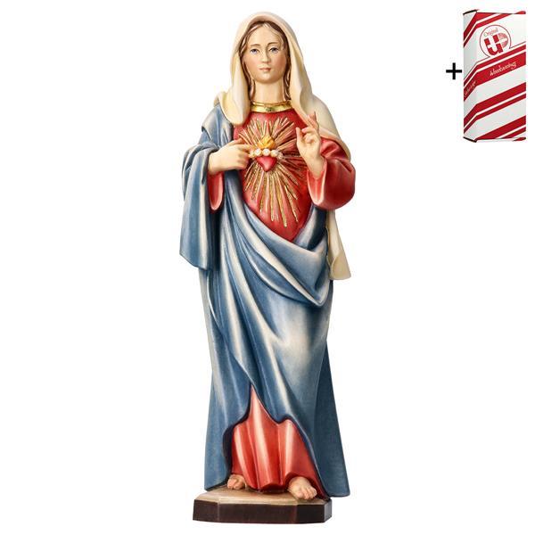 Sacred Heart of Mary the Saviour + Gift box - Colored