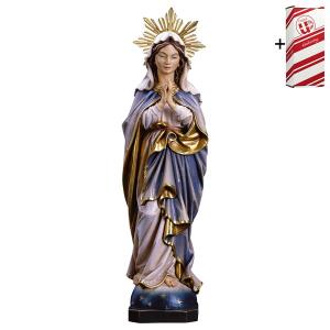 Vierge Immacolata priant avec Auréole + Coffret cadeau