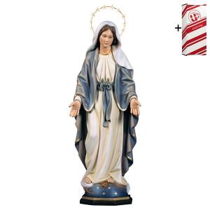 Vierge Miraculeuse avec Auréole 12 étoiles en laiton + Coffret cadeau