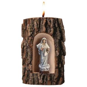 Our Lady of Medjugorje in grotto elm with candle