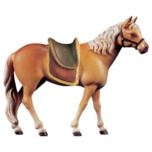 Caballo Hafliner con silla