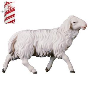 UL Mouton marchant + Coffret cadeau