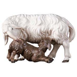 UL Mouton avec agneau allaitant