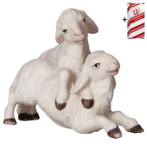 UL Couple d'agneaux + Coffret cadeau