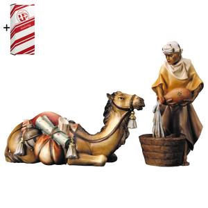 UL Gruppo del cammello sdraiato - 2 Pezzi + Box regalo