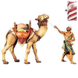 UL Groupe de chameaux debout 3 Parties + Coffret cadeau