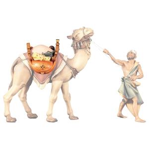 SA Saddle for standing camel