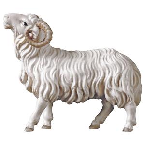 SA Bélier