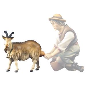 SA Goat to milk