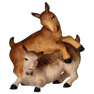 SA Kids couple