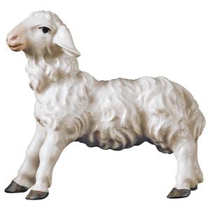 SA Standing lamb