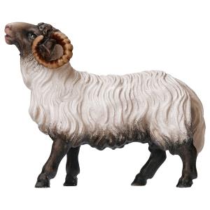 HE Schafbock Kopf schwarz