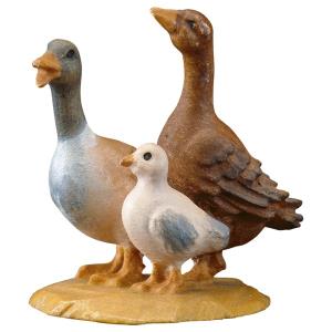 SA Groupe de canards