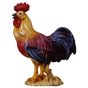 SA Gallo de pie