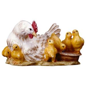 SA Lying hen with fledglings