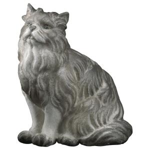 SA Sitting cat