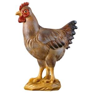 SA Gallina de pie