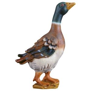 HE Ente stehend