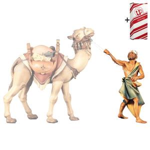 SH Standing camel driver + Gift box