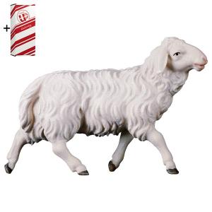 PA Mouton marchant + Coffret cadeau