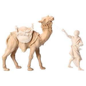 MO Camello de pie