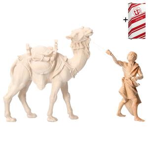 MO Standing camel driver + Gift box