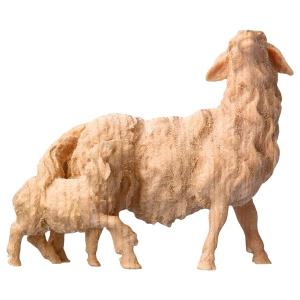MO Mouton avec agneau derrière