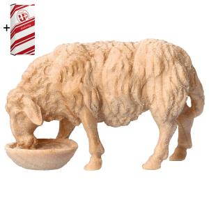 MO Drinking sheep + Gift box