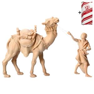 MO Standing camel group - 3 Pieces + Gift box