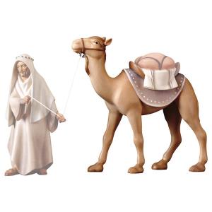 RE Camello de pie