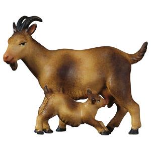 SA Goat with kid