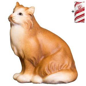 SA Chat assis + Coffret cadeau