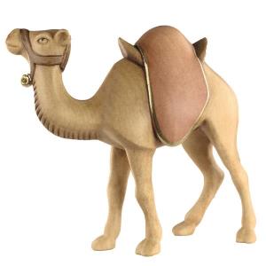 RO Kamel stehend