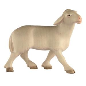 RO Running sheep