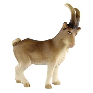 RO He-Goat
