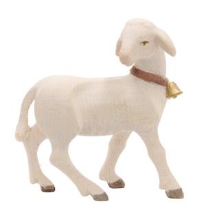RO Agnello con campanella