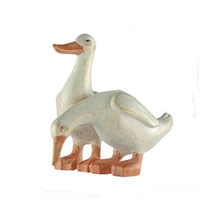 RO Groupe de canards