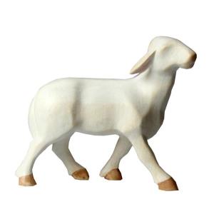 LE Running sheep