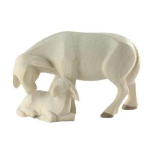 LE SStanding sheep with lamb