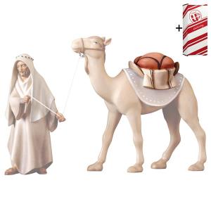 KO Sattel für Kamel stehend + Geschenkbox
