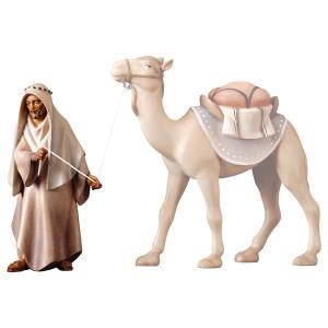 CO Camellero de pie