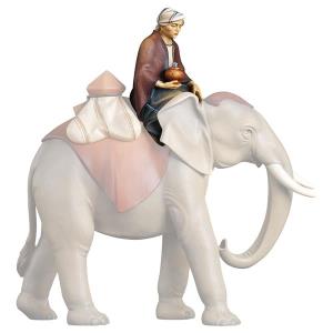 CO Sitting elephant driver