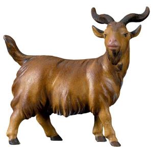 CO He-Goat