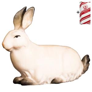 CO Rabbit + Gift box