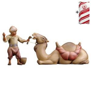CO Lying camel group 2 Pieces + Gift box