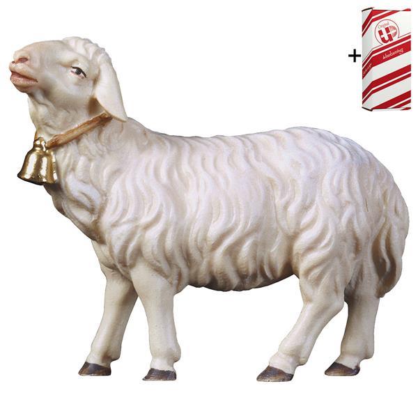 UL Schaf geradeaus schauend mit Glocke + Geschenkbox - Color