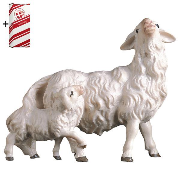 UL Schaf mit Lamm hinten + Geschenkbox - Color